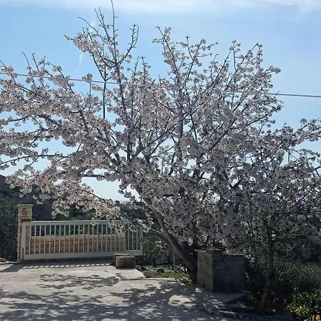 Tina 公寓 Ražanac